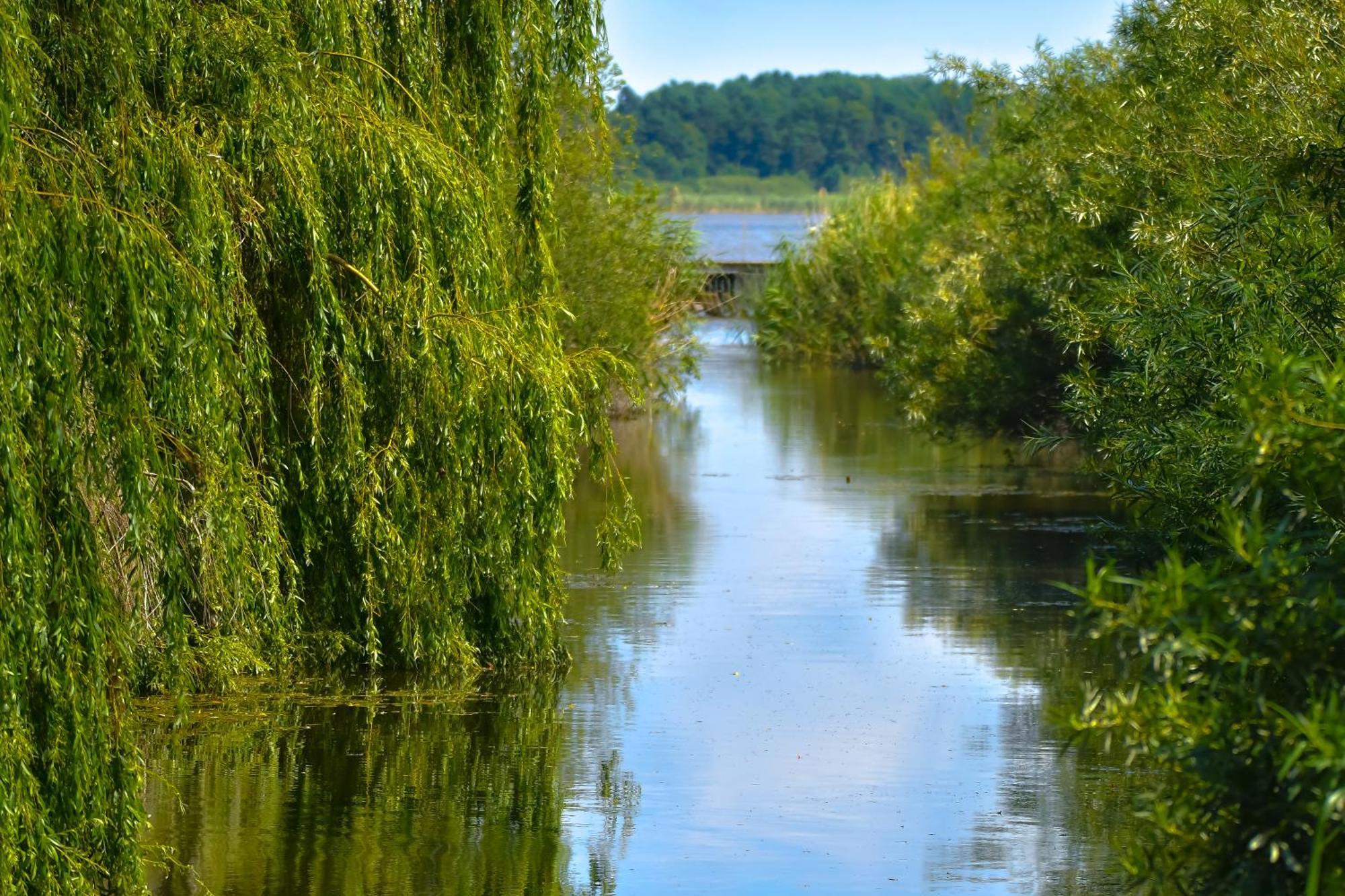 Domki Biel I Zielen Nacmierz Bagian luar foto